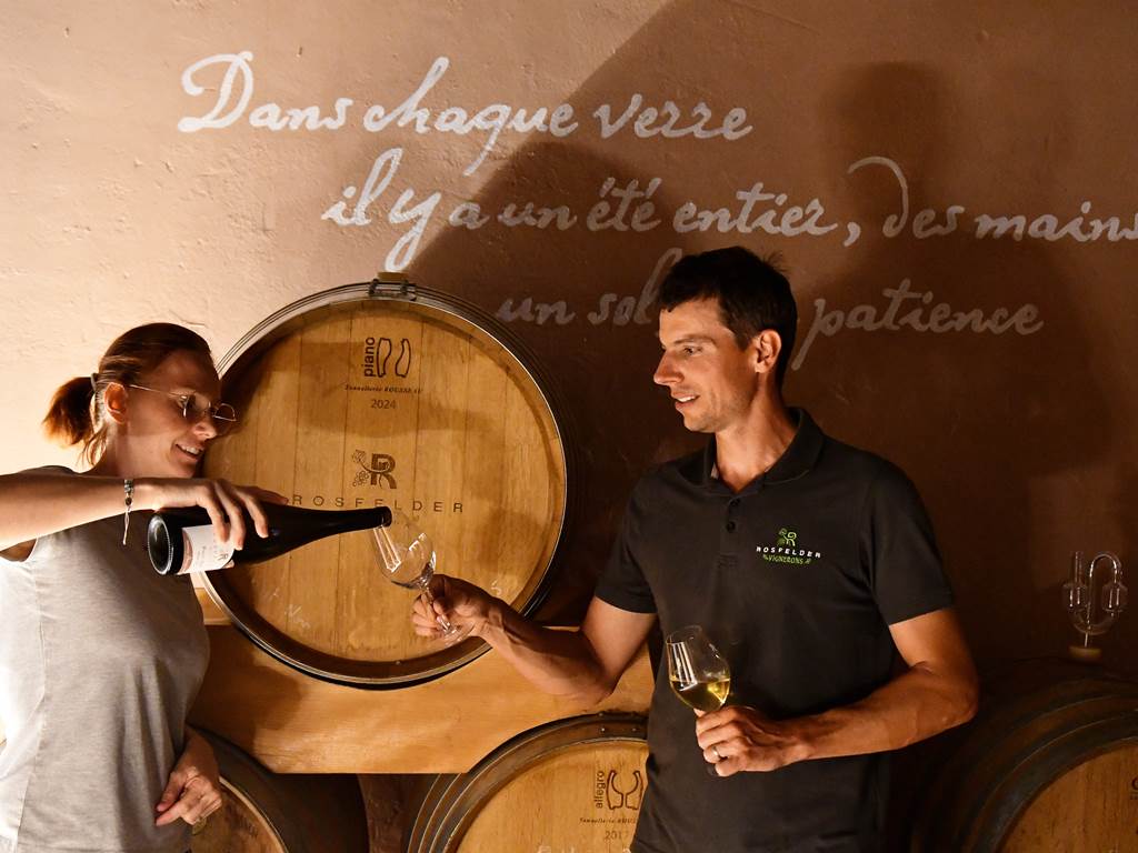 Dégustation à la cave du Domaine Rosfelder